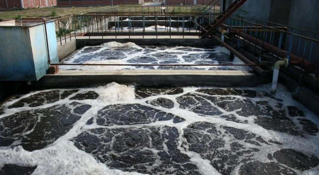 住建部：如何應對新冠病毒從馬桶到水環(huán)境的潛在傳輸途徑？