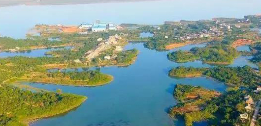 不斷加速的淘汰賽中，泵管閥“后浪們”為活下去而戰(zhàn)！