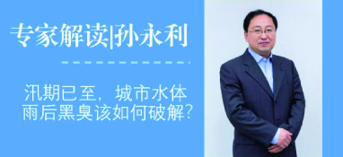 汛期已至，城市水體雨后黑臭問題該如何破解？