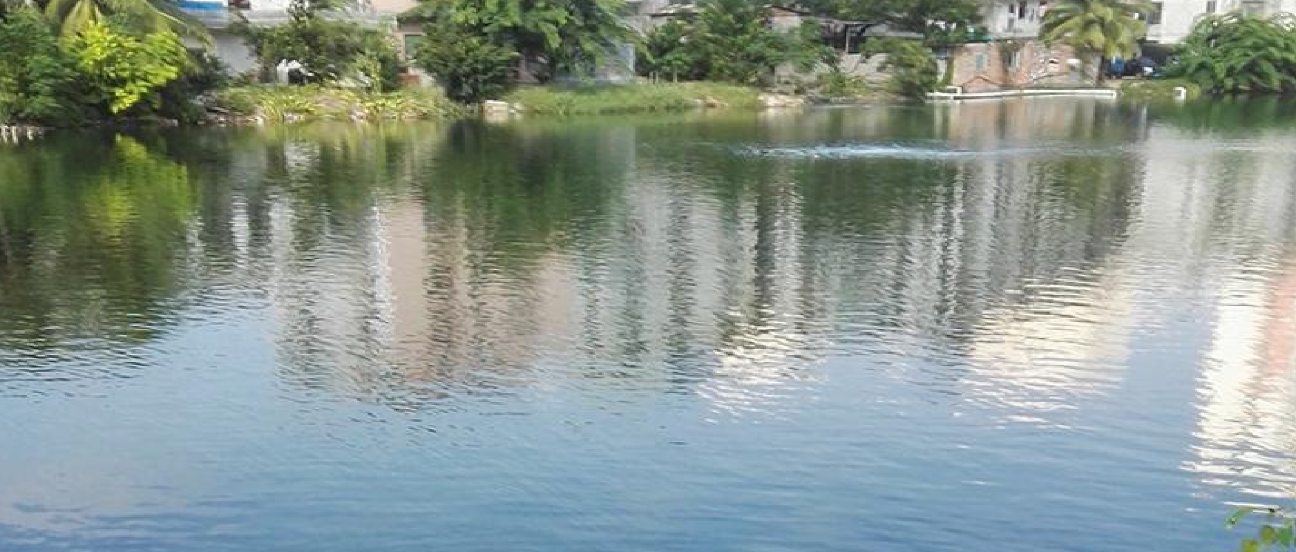 2023黑臭水體整治新動作不斷！問題到底怎么破？