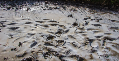 換季污泥膨脹，怎么辦？