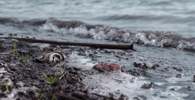 103條黑臭水體！江蘇2024年全省農(nóng)村環(huán)境整治工作計劃！
