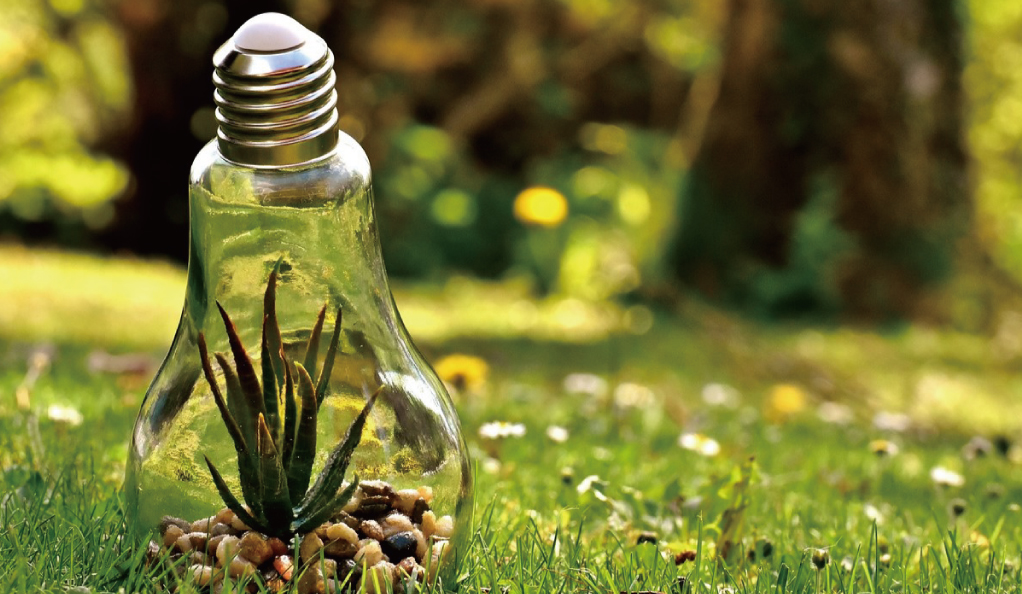 中央生態(tài)環(huán)境保護(hù)督察通報(bào)江蘇典型案例：部分水體返臭返黑