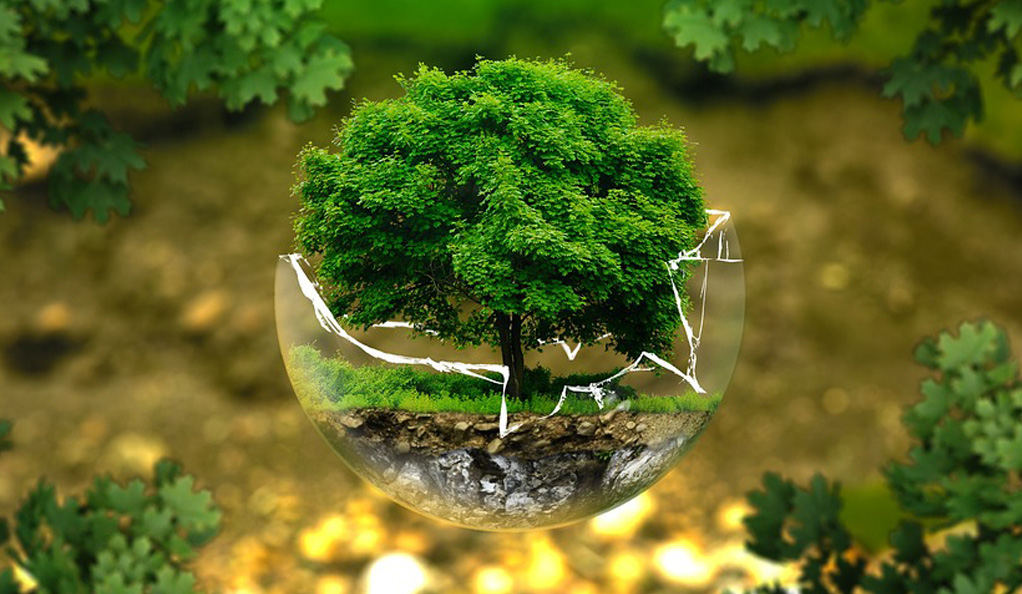 中國水環(huán)境集團(tuán)：綠色低碳技術(shù)驅(qū)動(dòng)水務(wù)價(jià)值重構(gòu)